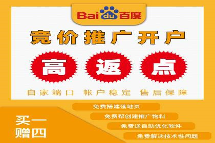 行业领先企业的SEM代运营成功之路